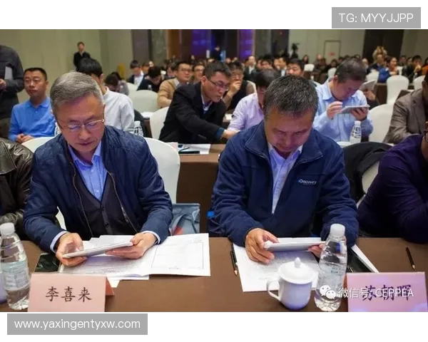 亚星官方网平台未来发展规划展望引领行业创新的战略布局