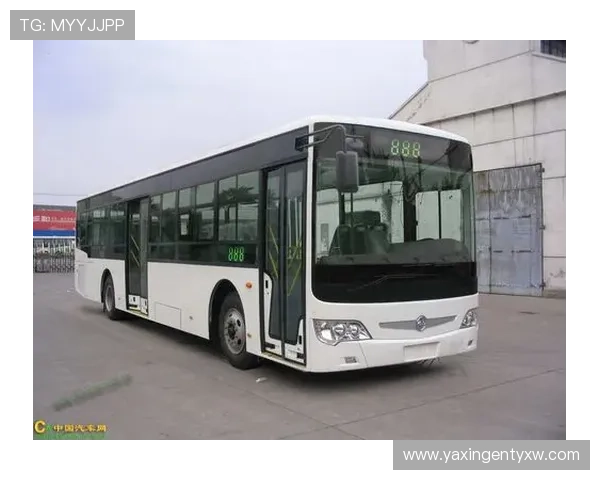 亚星手机平台入口功能介绍，全面了解亚星手机平台入口的主要功能和使用技巧