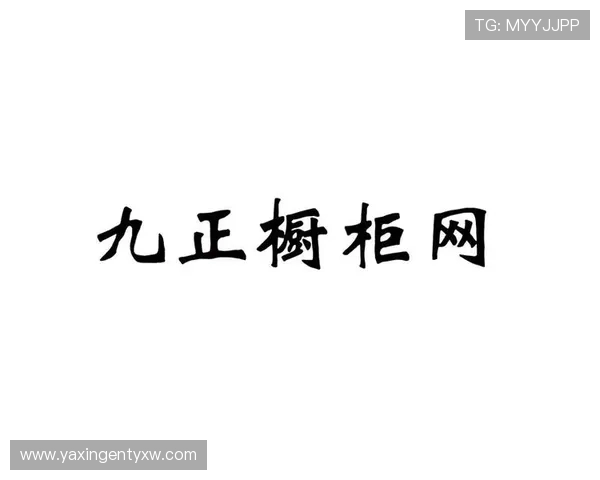 亚星正网代理最新合作方案助你轻松实现高收益