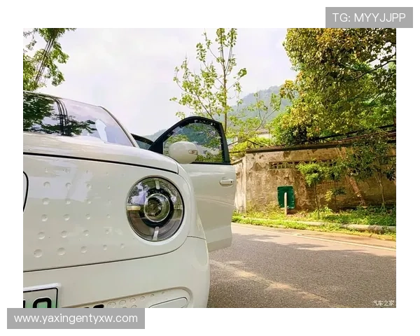 亚星注册官网：常见问题解答及注册流程中的注意事项详尽介绍