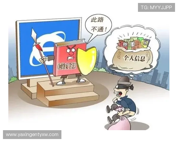 亚星游戏入口网址安全保障措施，保障玩家个人信息安全