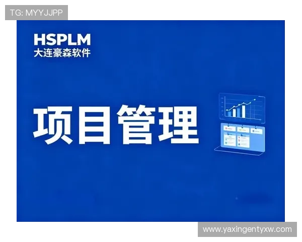 亚星管理平台 cmd3：优化企业流程管理的创新功能与使用体验